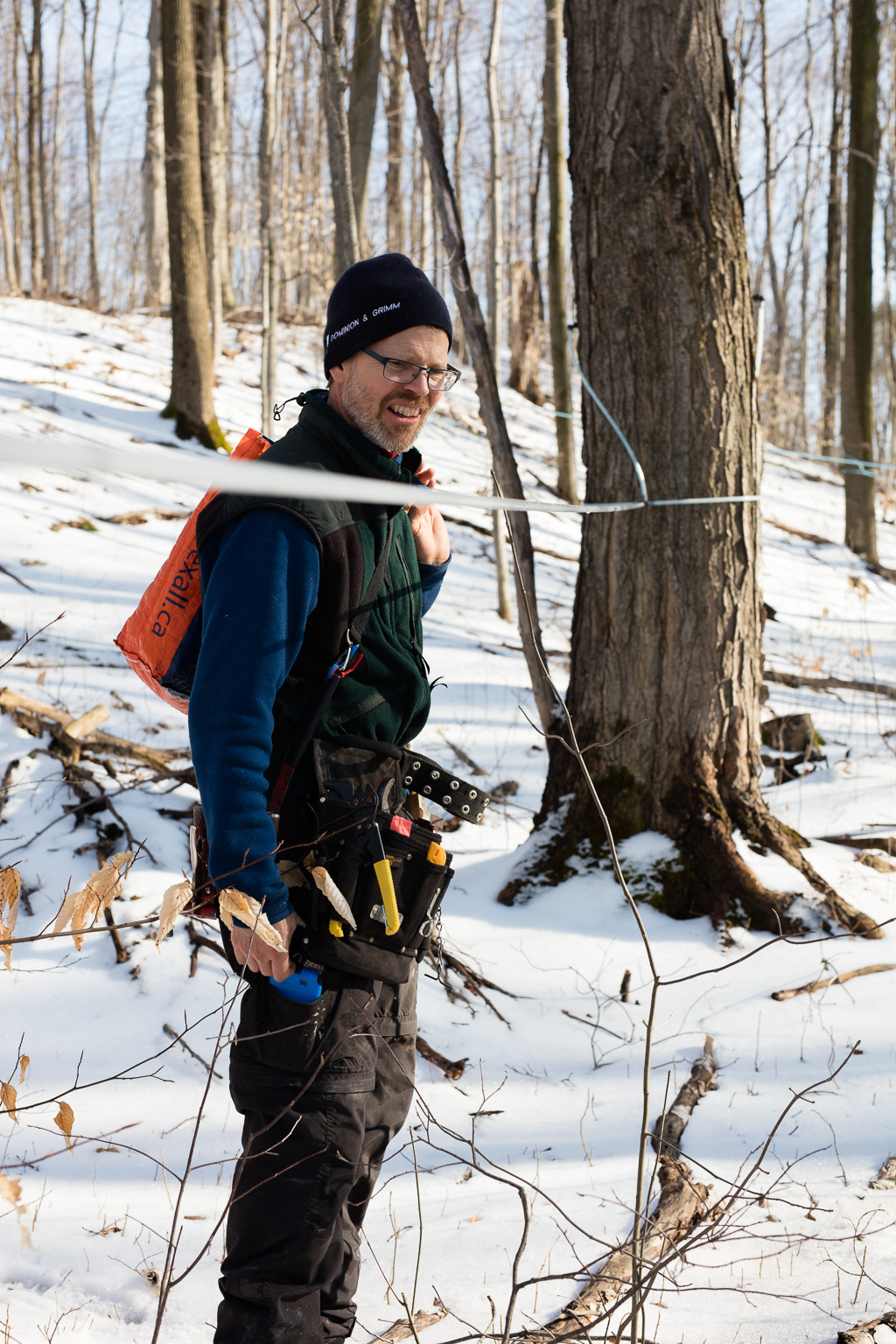 Inspecting sap lines in the sugar bush.