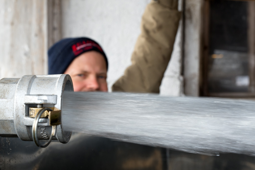 Maple sap pours from a hose into a tank before going to the evaporator.