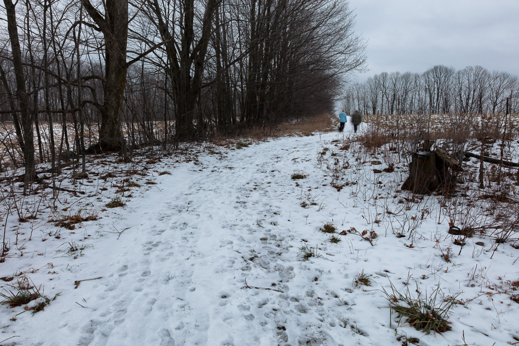 People walking on a lane at Williams Farm, Wyebridge, Ontario