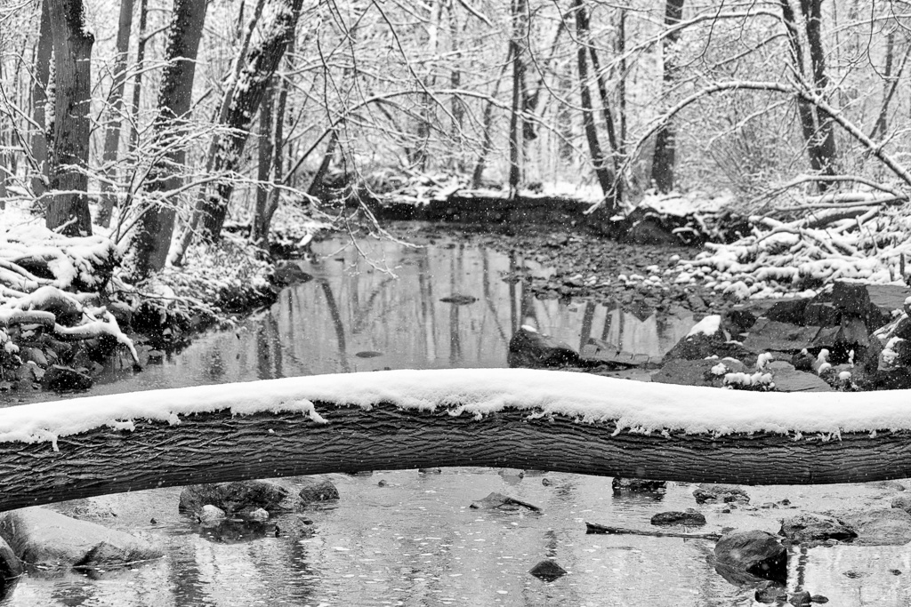 Winter scene of a snow-covered tree trunk lying across a stream.