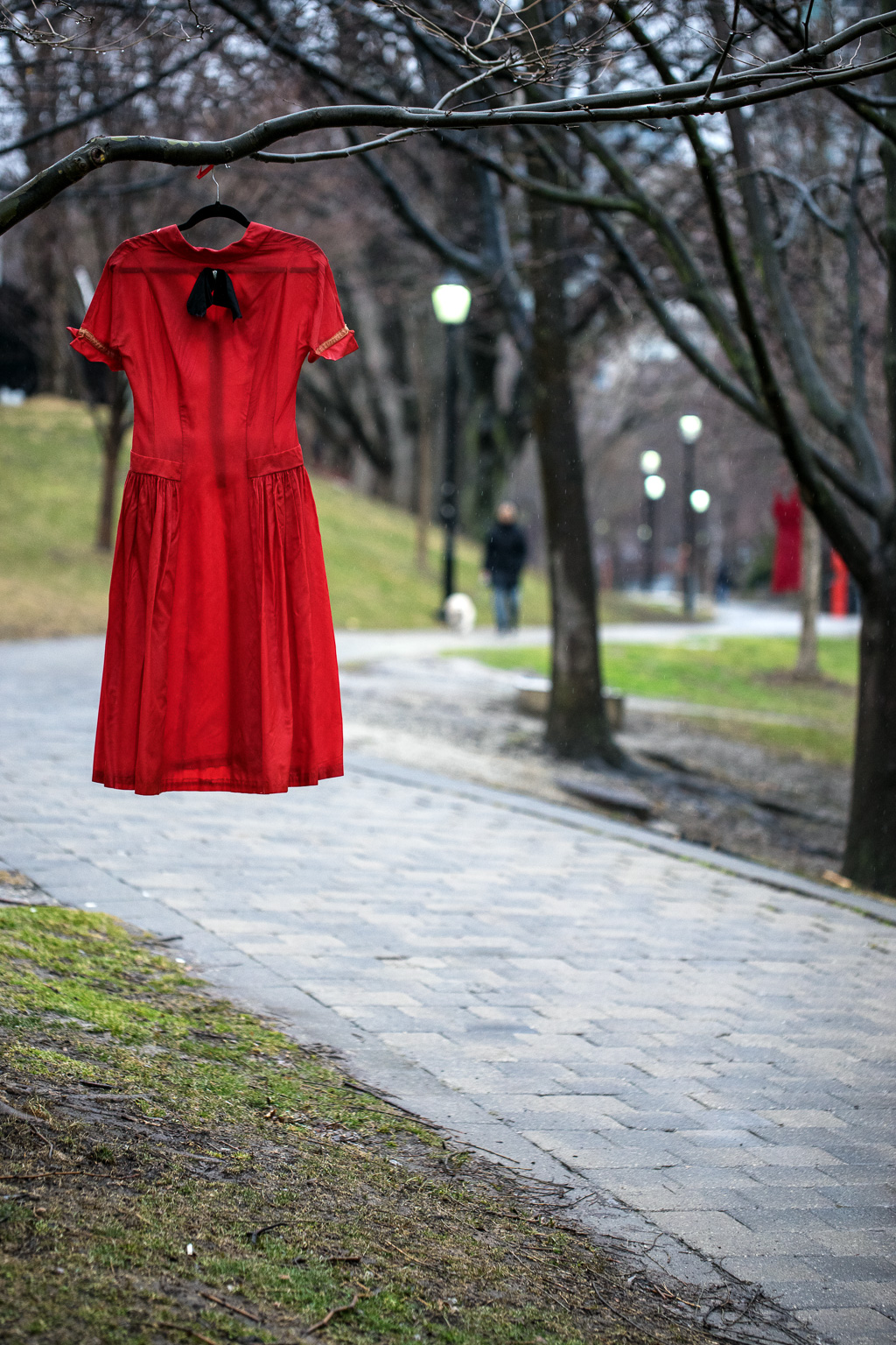 A red dress hangs from tree in Philosopher's Walk, Taddle Creek, University of Toronto Campus