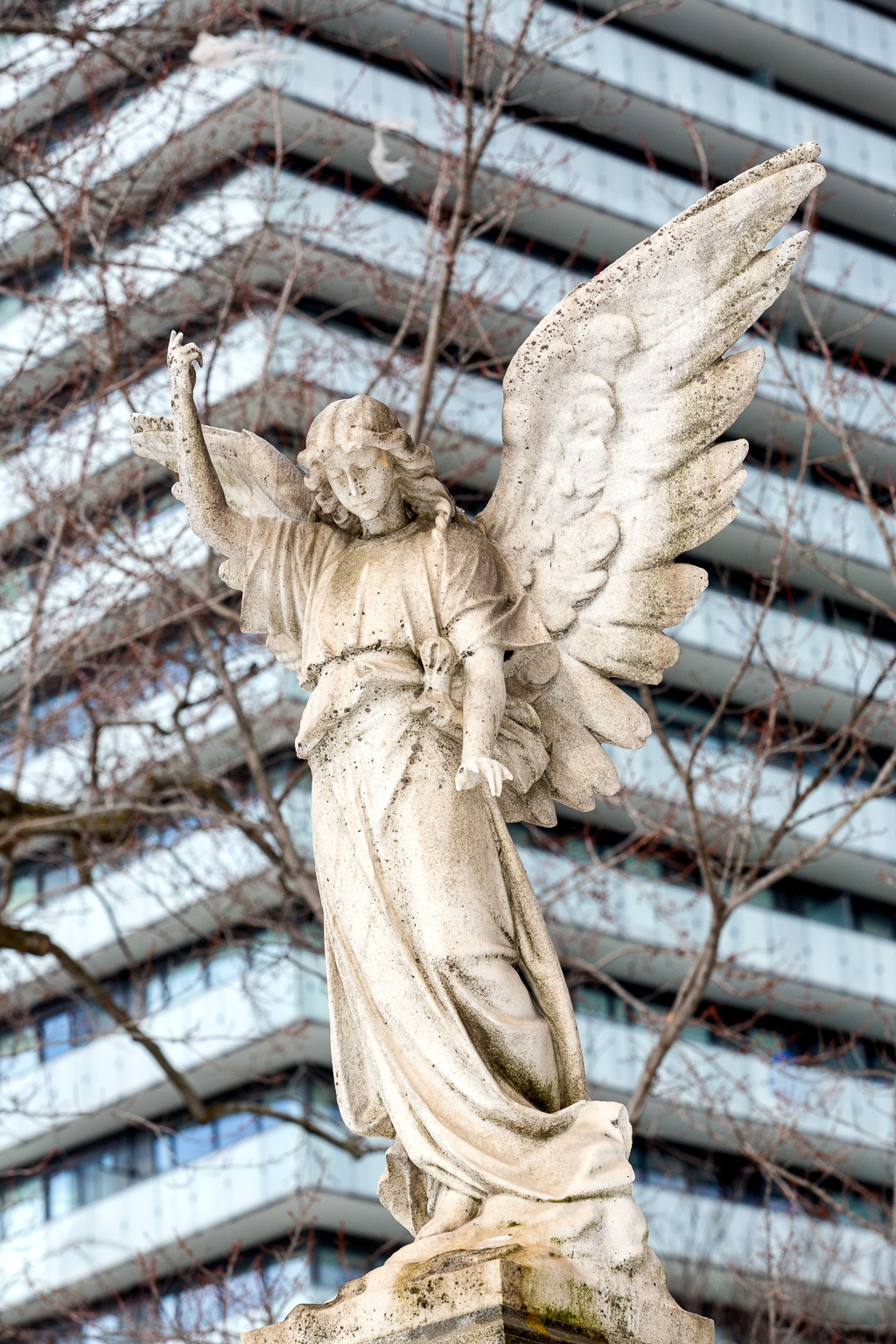 Stone angel in Toronto's Mount Pleasant Cemetery stands with right hand raised, fingers broken, with condominium balconies in the background.